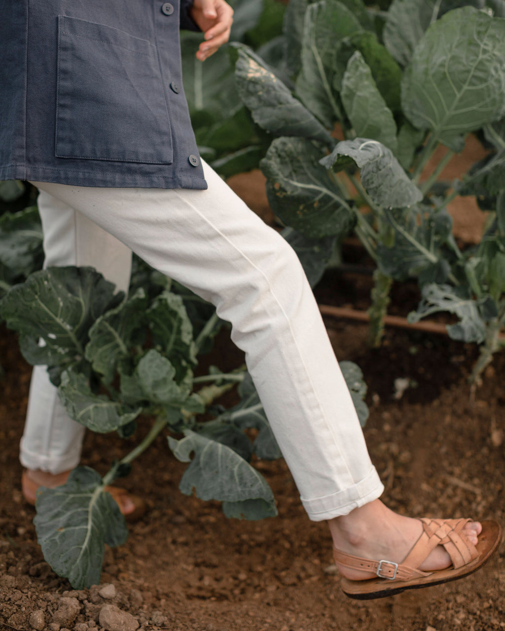 Women's Cham Pants / Salt 2