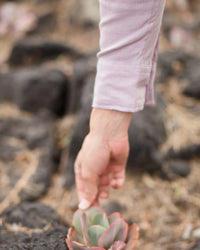 Men's Playa Shirt / Lavender 4
