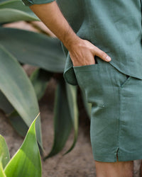 Men's Bo Shorts / Pine 4